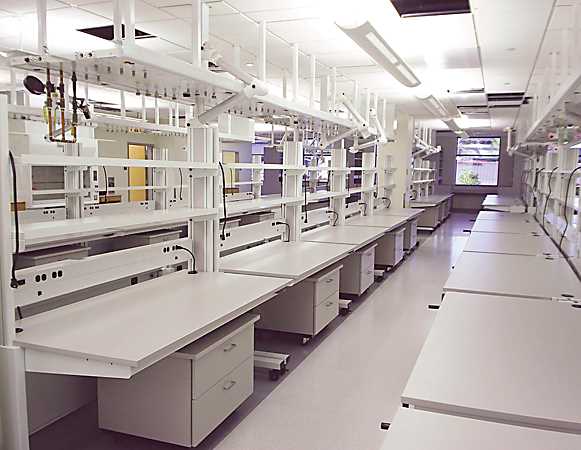 Evolution_photo1_581x450