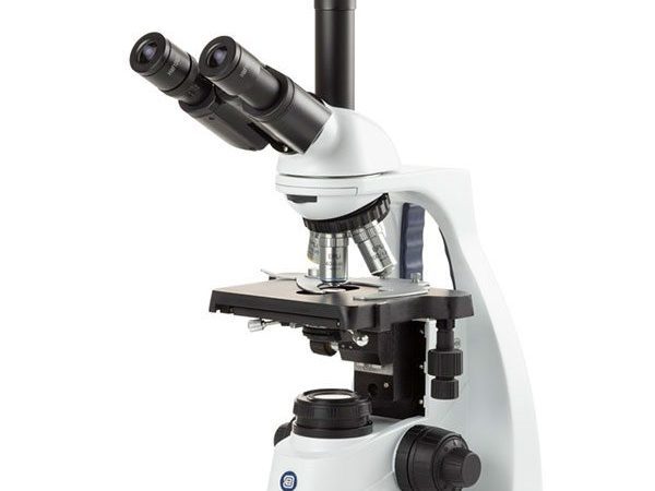 Microscopio Vertical bscope