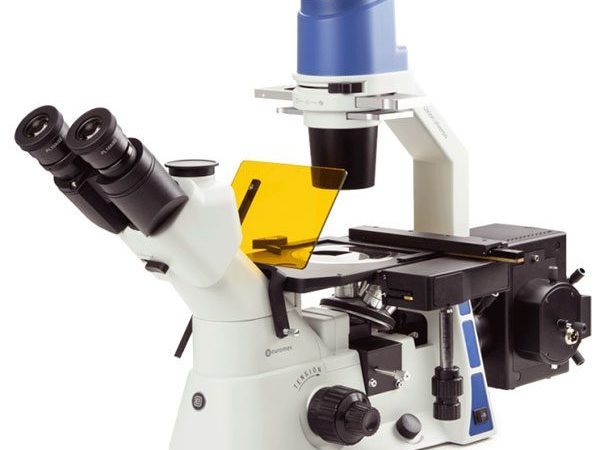 Microscopio Oxion Inverso