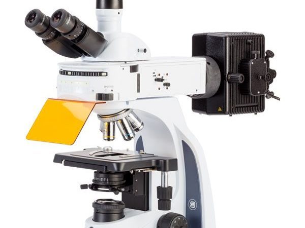 Microscopio iScope para Epi-fluorescencia