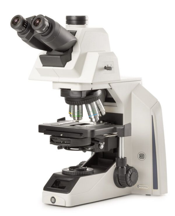 Microscopio Achios-X Observer Fase