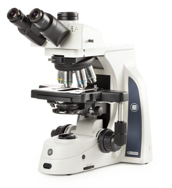 Microscopio Delphi-X Observer Fase