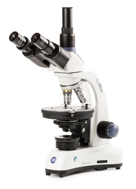 Microscopio EcoBlue Polarización