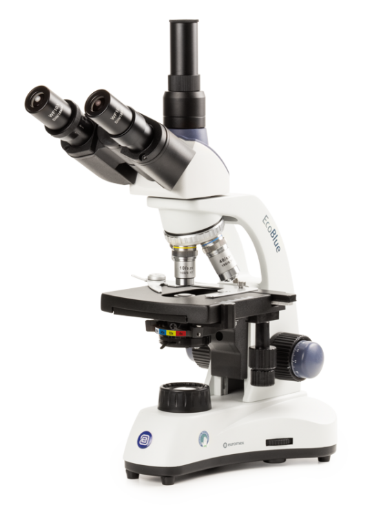 Microscopio EcoBlue Polarización